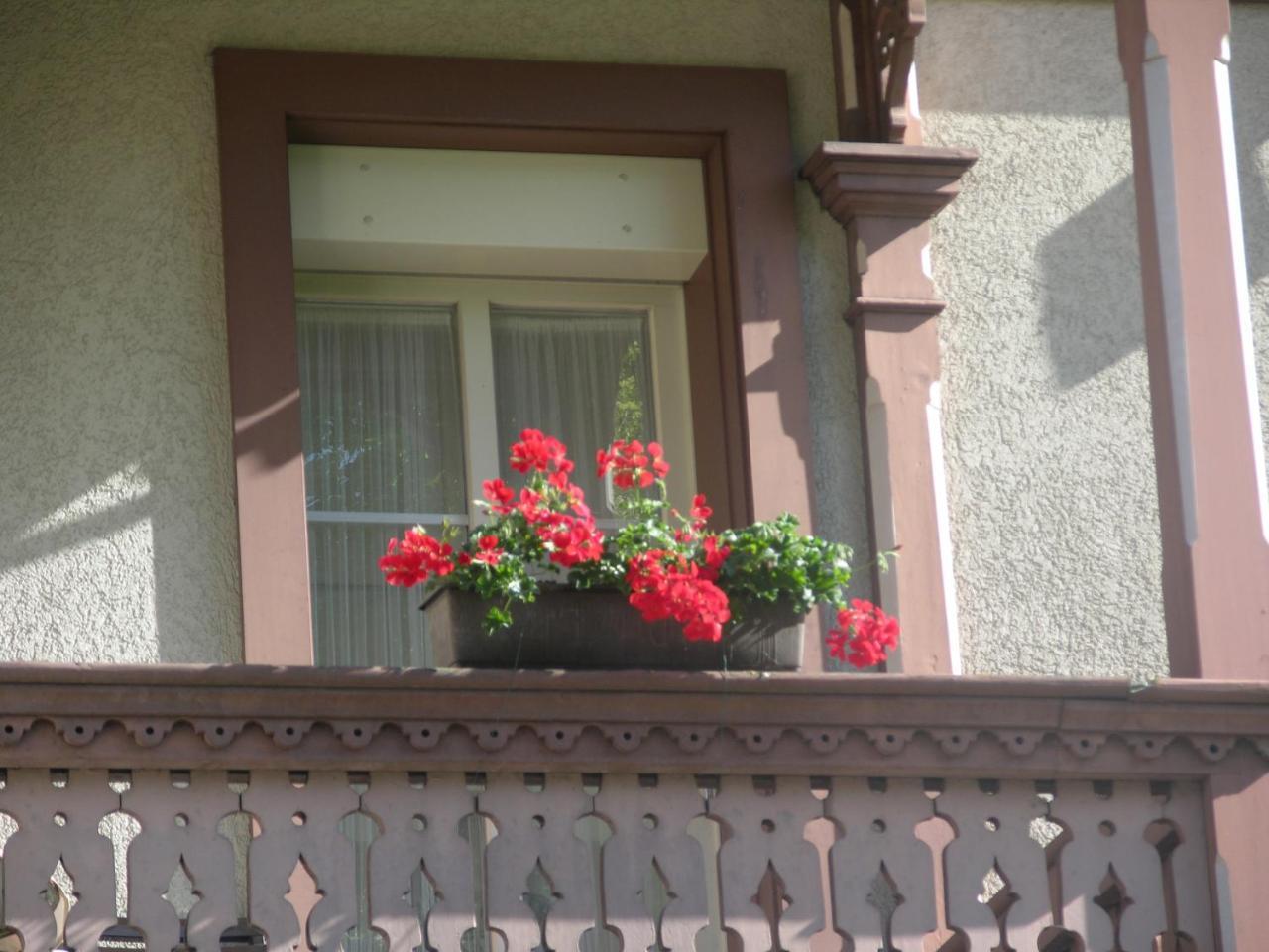 Hotel Sonne Interlaken-Matten Unterseen Exterior photo